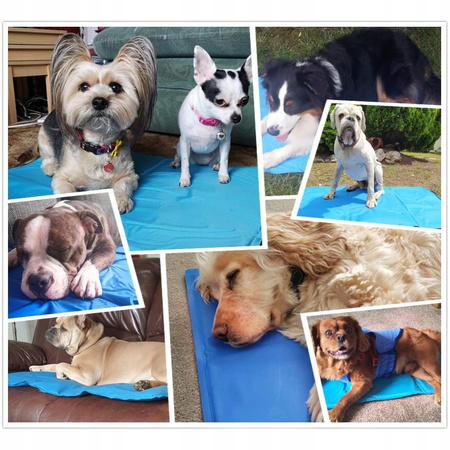 MATA CHŁODZĄCA ŻELOWA DLA PSA KOTA ZWIERZĄT LEGOWISKO DUŻA 90 x 50 cm