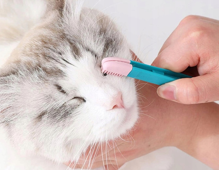 GRZEBIEŃ PĘSETA DO OKOLIC OCZU I PIELĘGNACJI ZWIERZĄT psów kotów