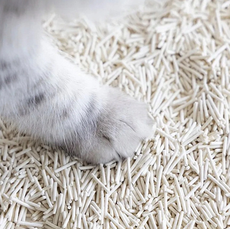 NATURALNY ŻWIREK DLA KOTA 2,5kg biodegradowalny 5L ekologiczny tofu