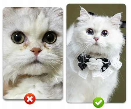 GRZEBIEŃ PĘSETA DO OKOLIC OCZU I PIELĘGNACJI ZWIERZĄT psów kotów