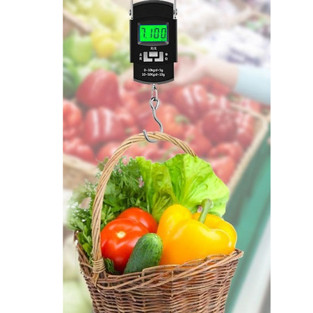 WAGA HAKOWA CYFROWA ELEKTRONICZNA 50 kg WISZĄCA BAGAŻOWA RĘCZNA