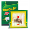 MYSZOŁAPKA LEP NA MYSZY SZCZURY PUŁAPKA SILNY KLEJ 30 SZTUK ZAPACHOWE