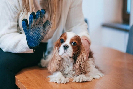 RĘKAWICZKA SZCZOTKA DO WYCZESYWANIA SIERŚCI MYCIA DRAPANIA PSA KOTA
